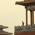 wanghongfu
