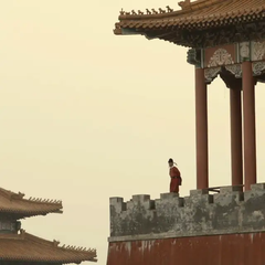 wanghongfu