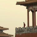 wanghongfu